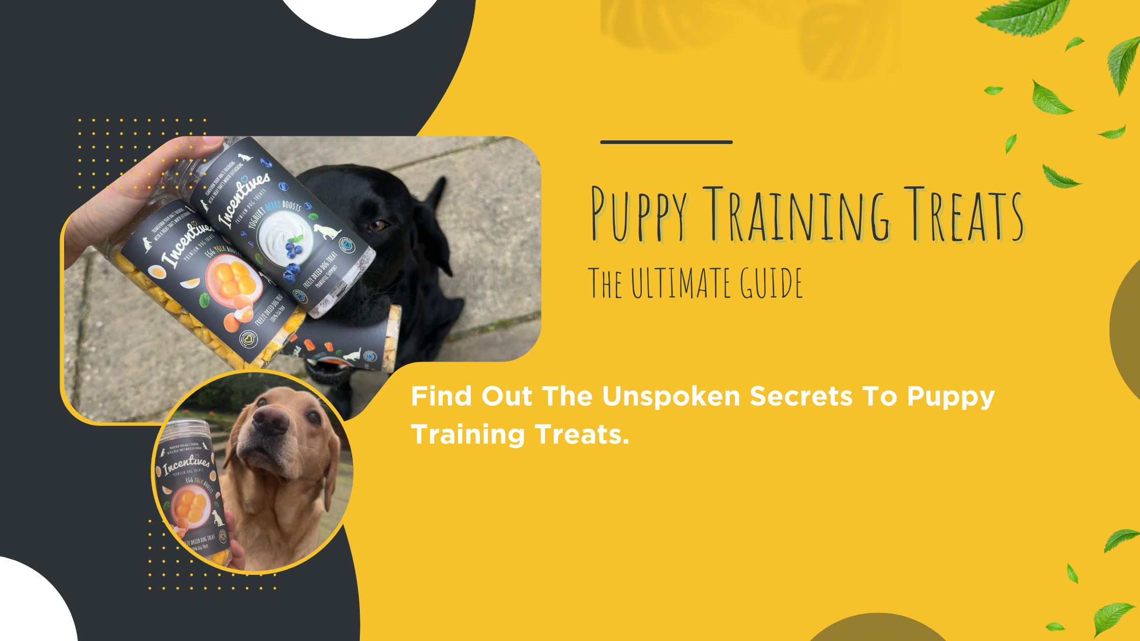 Find Out The Unspoken Secrets To Puppy Training Treats